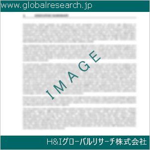 グローバルリサーチ調査資料のイメージ
